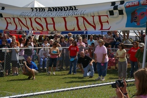Owners wait at the finish line