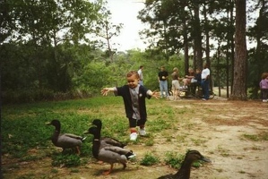 Jaen with ducks