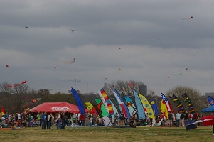 Flags at Zilker Park Kite Festival