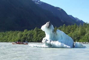 Iceberg near Davidson glacier