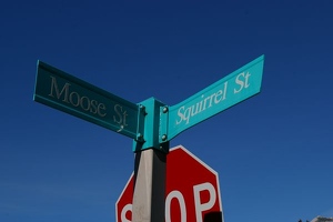 Moose and Squirrel