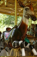 Carousel okapi
