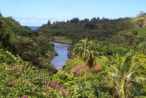 River valley in National Tropical Botanical Garden