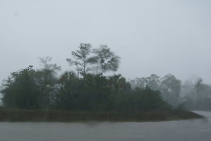 Rainy wildlife preserve