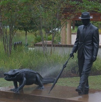 Mr. Fraser walking his alligator in the rain