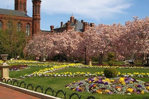 Gardens in front of Smithsonian Castle