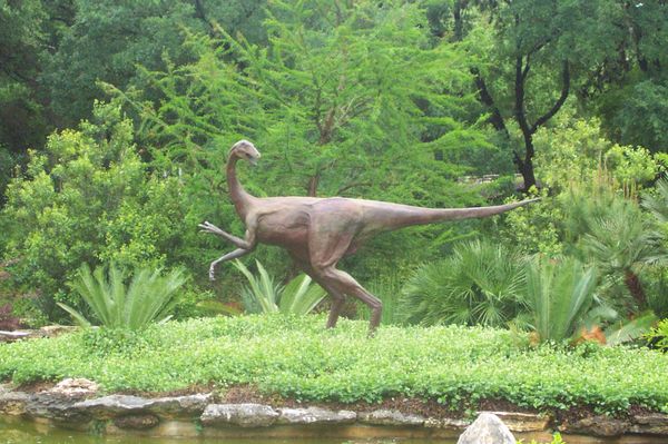 Velociraptor playing on the island