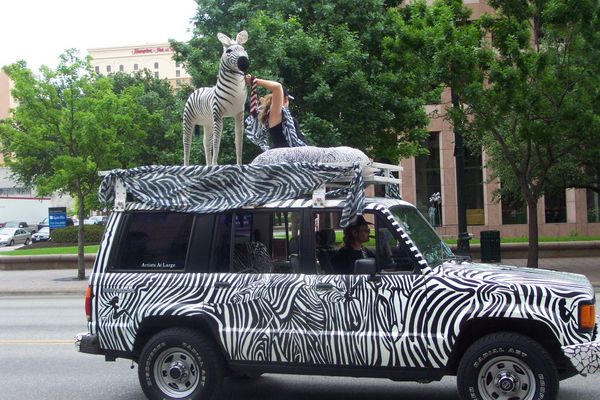 Zebra SUV