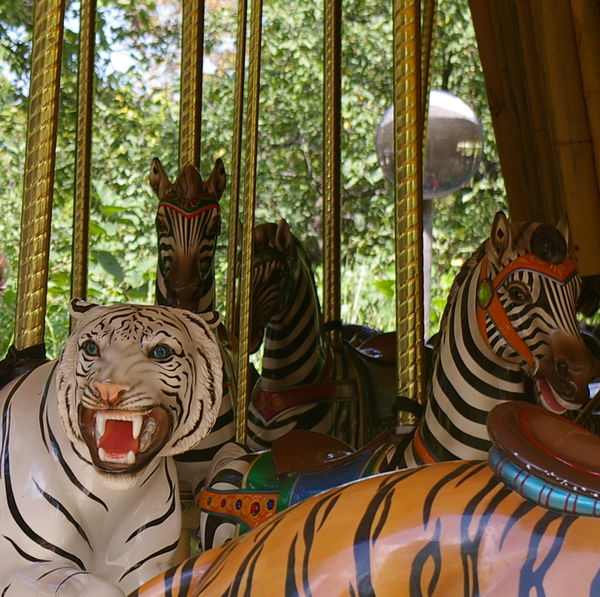 Carousel tiger and zebra