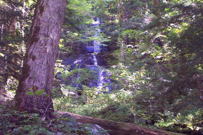 Waterfall along trail