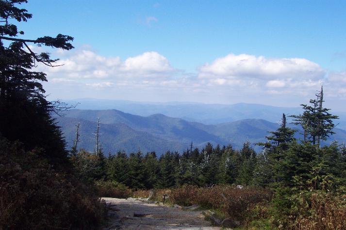 View from trail on Mount Mitchell