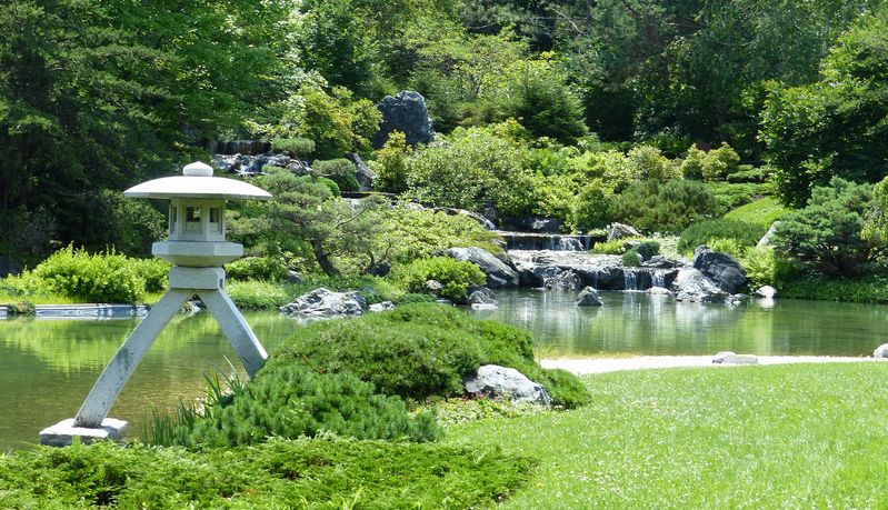 Pond in Japanese garden