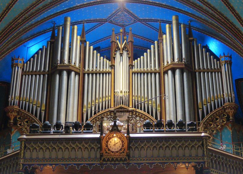 Giant organ