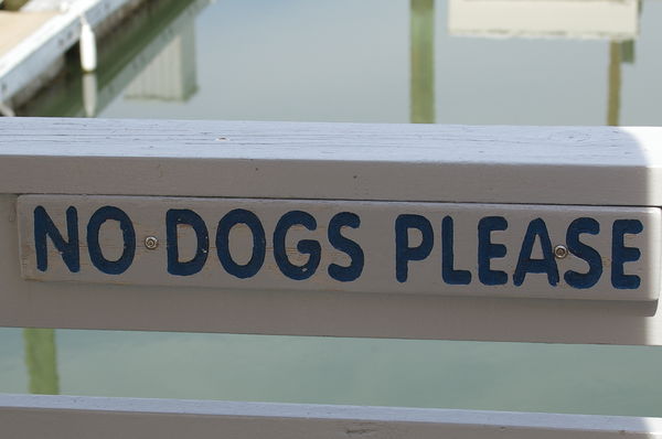 ... no dogs allowed