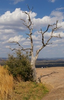 Top of Enchanted Rock