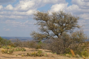 Top of Enchanted Rock