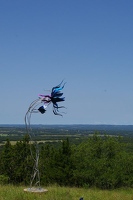 A beautiful iridescent flower on the hill by John Meyer