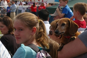 Watching the race preparations