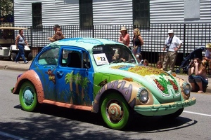 Jungle Bug