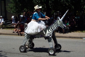 Baby Zebracorn