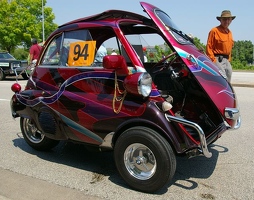 Bug of Many Colors