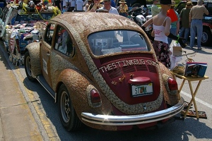 The Stink Bug