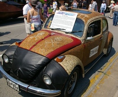 The Stink Bug
