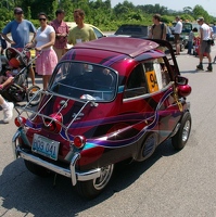 Bug of Many Colors
