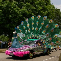 Percy Peacock