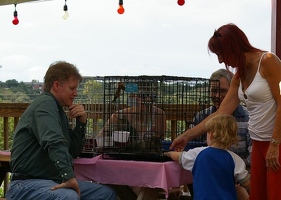 Kitties Victor and Solace making new friends at Pawstock