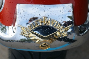 Shiny Harley logo