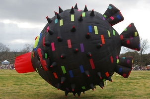 Big blowfish kite