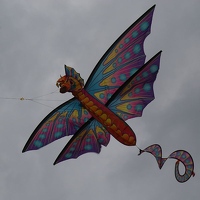 Dragon kite