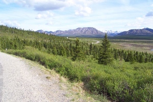 Denali park view