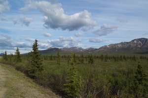 Denali park view