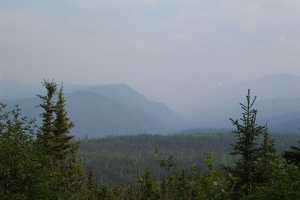 Misty view of park