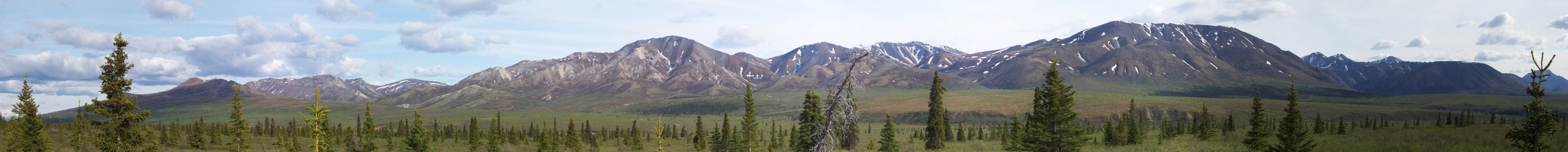 Denali extreme panoramic park view