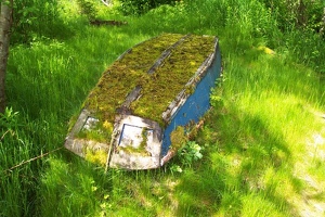 Mossy rowboat