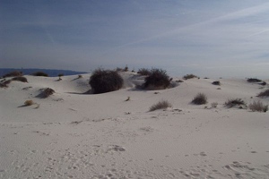 White sands