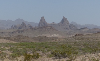 Burro's ears