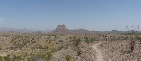 Desert trail