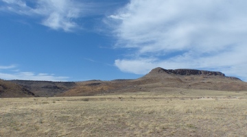 Davis mountains