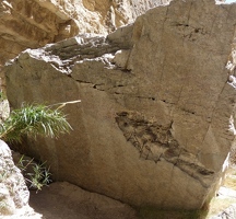 Fish shaped hole in rock