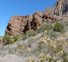 Along Window Trail