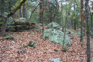 Bastrop State Park