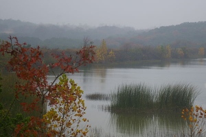 Misty lake