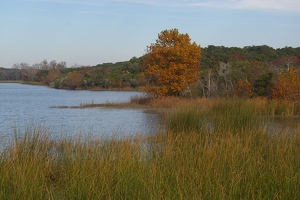 Cedar Lake