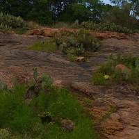 Rocky outcropping