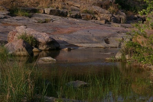 Stream entering lake