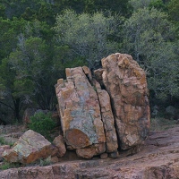 Big rock